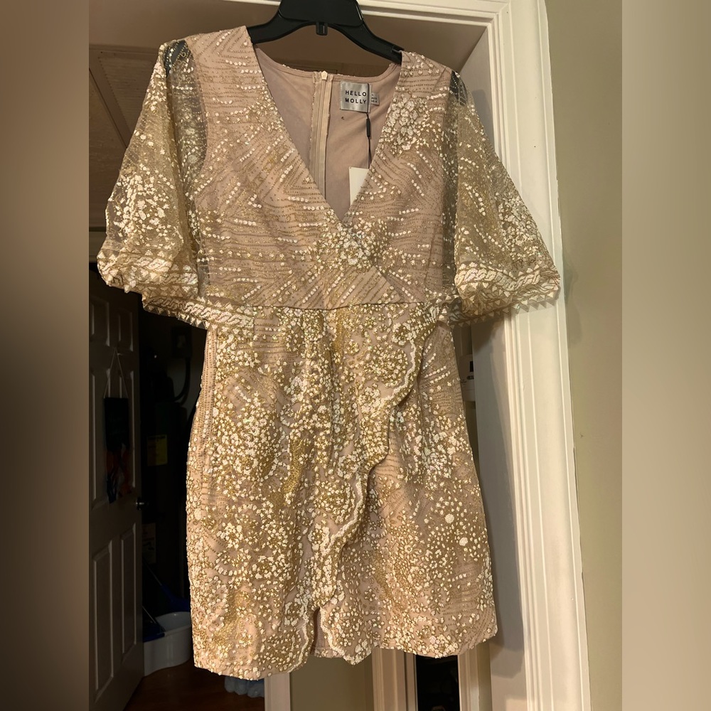 Hello molly sequin dress